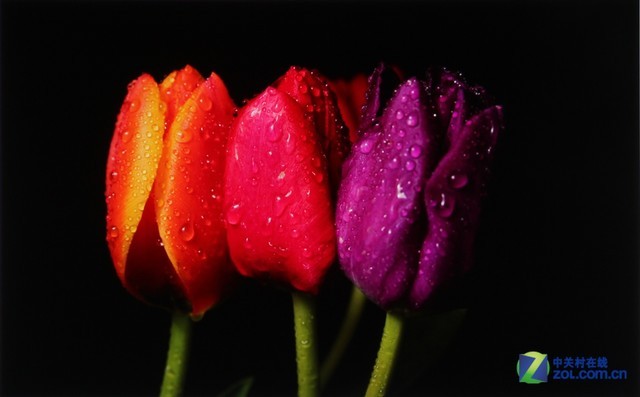 ЯIMAXӰԺ ѶQUMI Q7 PlusЧ