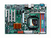 ZM-NF52P-G