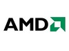 AMD Radeon R9 390X