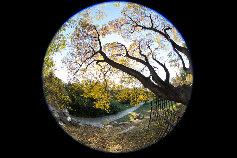 超广角的奇妙世界 6款佳能广角镜头推荐 (1/28)