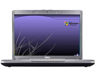 Inspiron 1520(R510313)