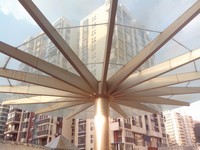 �ȷ�P80w������3