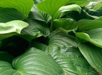 HTC One M8��M8t/�ƶ�4G��������6