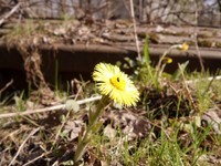 ����GALAXY K Zoom��C1116/��ͨ3G��������2