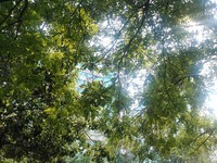 ����8950���ƶ��棩������0