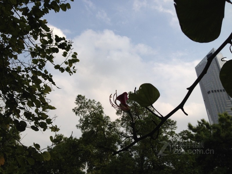 苹果iphone 4s 拍照效果(180/343)