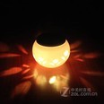 奥智捷太阳能LED灯小夜灯 郁金香