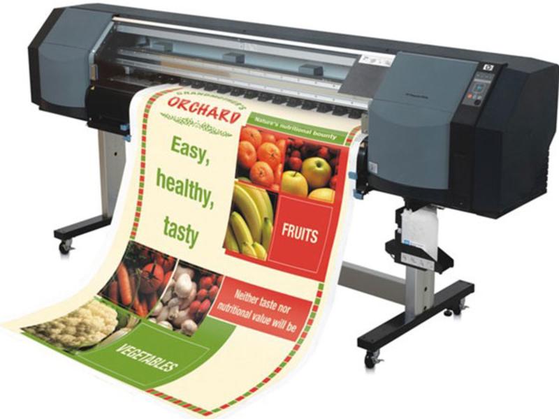 HP Designjet 8000sr(Q6670A)