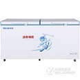 美菱(MeiLing) BC/BD-528DT 528升大冷柜 双顶开门带锁 单温变温柜