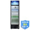 统帅（Leader）展示柜冷藏展示陈列柜饮料保鲜柜 立式酒柜玻璃单门 海尔出品 315升 SC-315TS