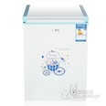 尊贵（ZUNGUI)115升小冰柜 家用 冷藏冷冻 卧式冷柜 BC/BD-115 白色