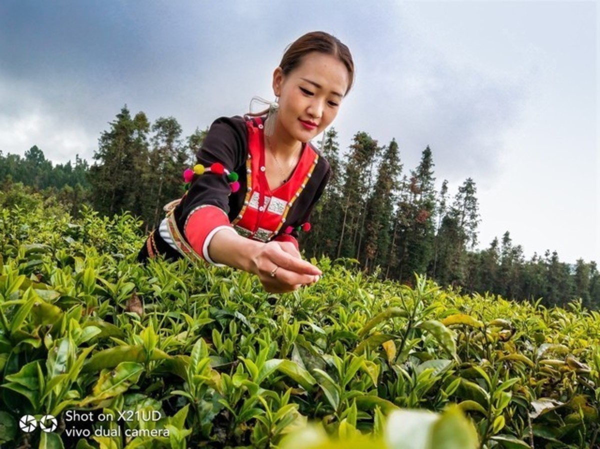 【高清图】智慧旅行 vivoX21带你玩转腾冲极边