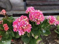 vivo X23��ȫ��ͨ��������5