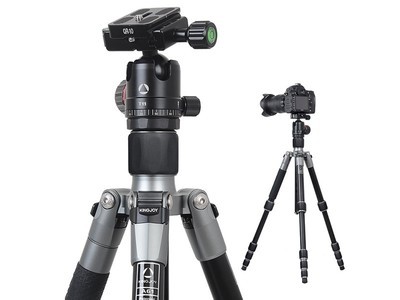  A61+T11