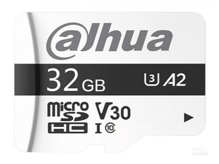 F10032GB