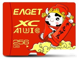 T1ţФ棨256GB