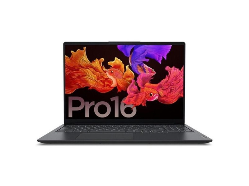 С Pro 16 2021(R5 5600H/16GB/512GB/GTX1650)