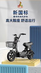 PhoenixTDT131Z 㳵Ʒ