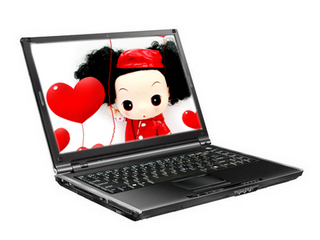 清华同方锋锐 K40A-13