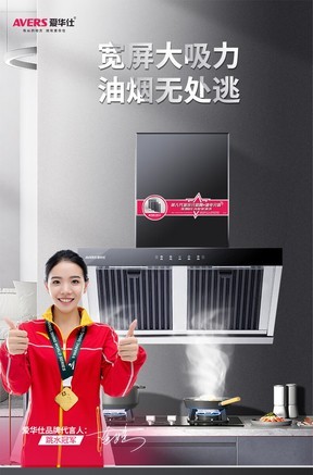 avers(爱华仕)f668 标准