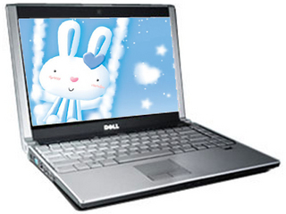 XPS M1330(Q511021N)