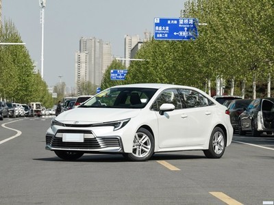   2023 Ŀ 2.0L Ȱ