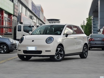 Ϊ Ϊ3 2023 405km Pro