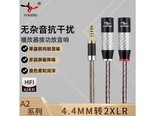 杨阳YYA24.4 0.5米
