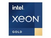 Intel Xeon Gold 6443N