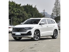 �ݴ�VS7 2024�� ���������� 280TSI �ֶ��ȷ��