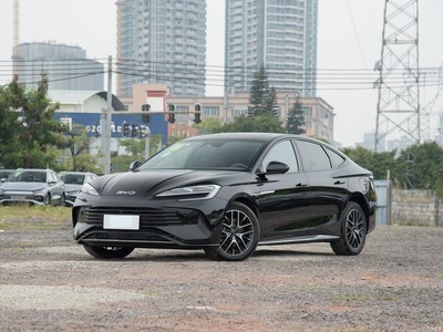 ǵ  2024 ҫ DM-i 1.5T 121km 콢