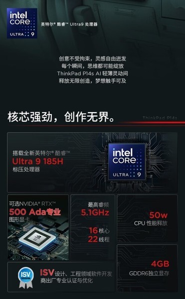 ThinkPad P14s AI 2024(Ultra9 185H vPro/32GB/1TB)