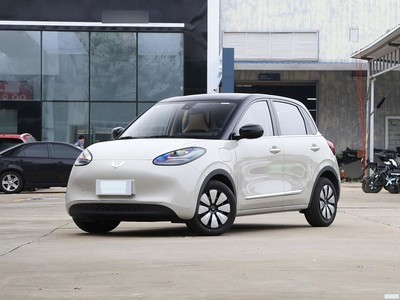  ͹ 2024 333km 