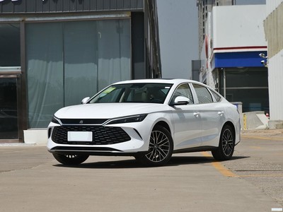 ǵ L 2024 DM-i 120KM׿Խ