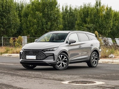 ǵ Դ 2025 DM-i 115KM 콢