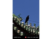 С��15S Pro��16GB/512GB��������5