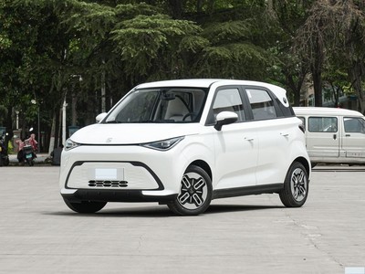   2025 305km 