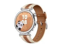 HUAWEI WATCH GT 6(马鞍棕/41mm/复合素皮表带)