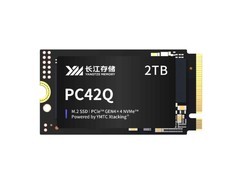 洢PC42Q M.2 22421TB