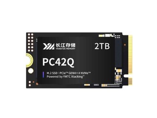 洢PC42Q M.2 2242512GB