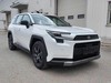 RAV4ٷ 2026 ˫ 2.5L 콢