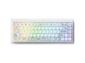 �ھ� Blue67�໨�մɴ�