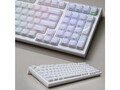 ���� FL980 ��ѩ������