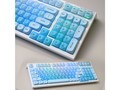 ���� FL980 ��ѩ������