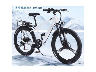 ��������綯ɽ�س� 36V/20AH/������