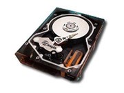 ϣ 300GB/10K/80 (ST3300007LC)