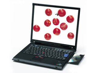 IBM THINKPAD T43 266844C
