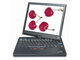 IBM ThinkPad X41 T22C