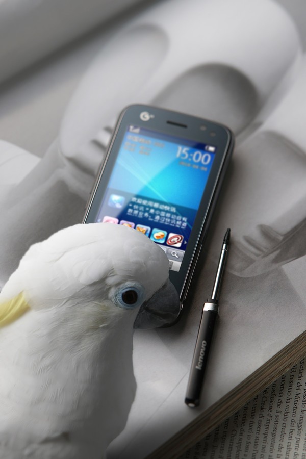 【高清图】 触控超薄全能3g手机 联想td80t美图赏图5