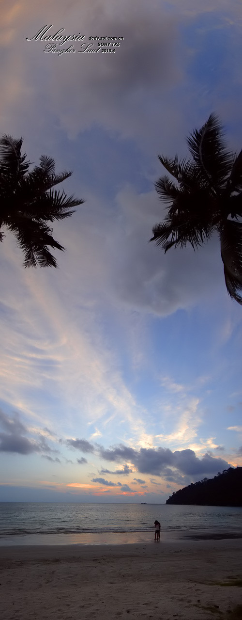 TX5�������� 